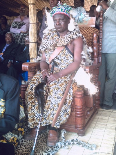 african king.jpg african king.jpg